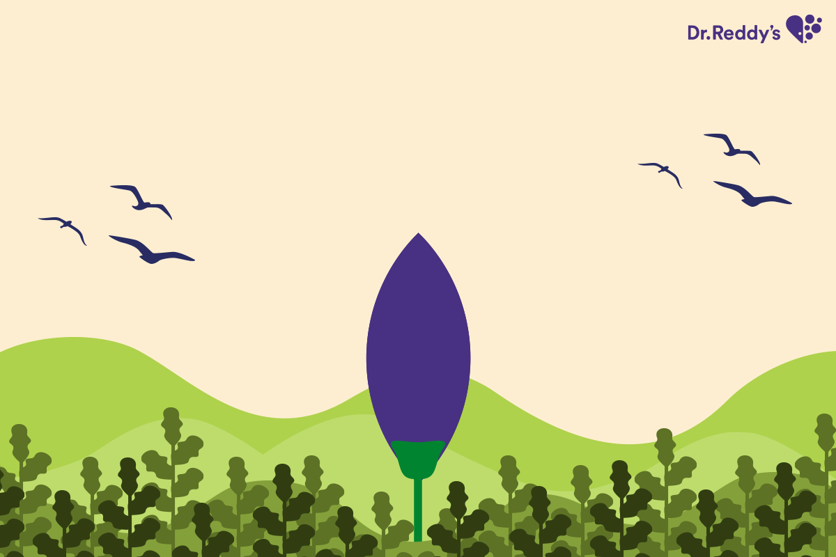 flower-bloming-banner